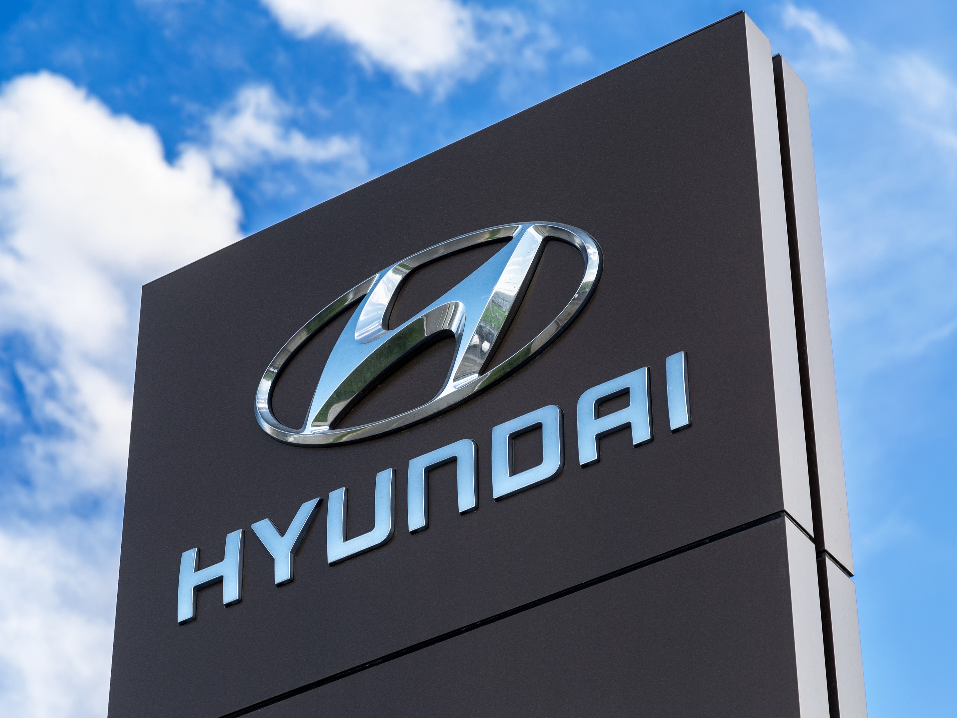 Hyundai sperimenta un&rsquo;alternativa alla pelle naturale per interni più sostenibili