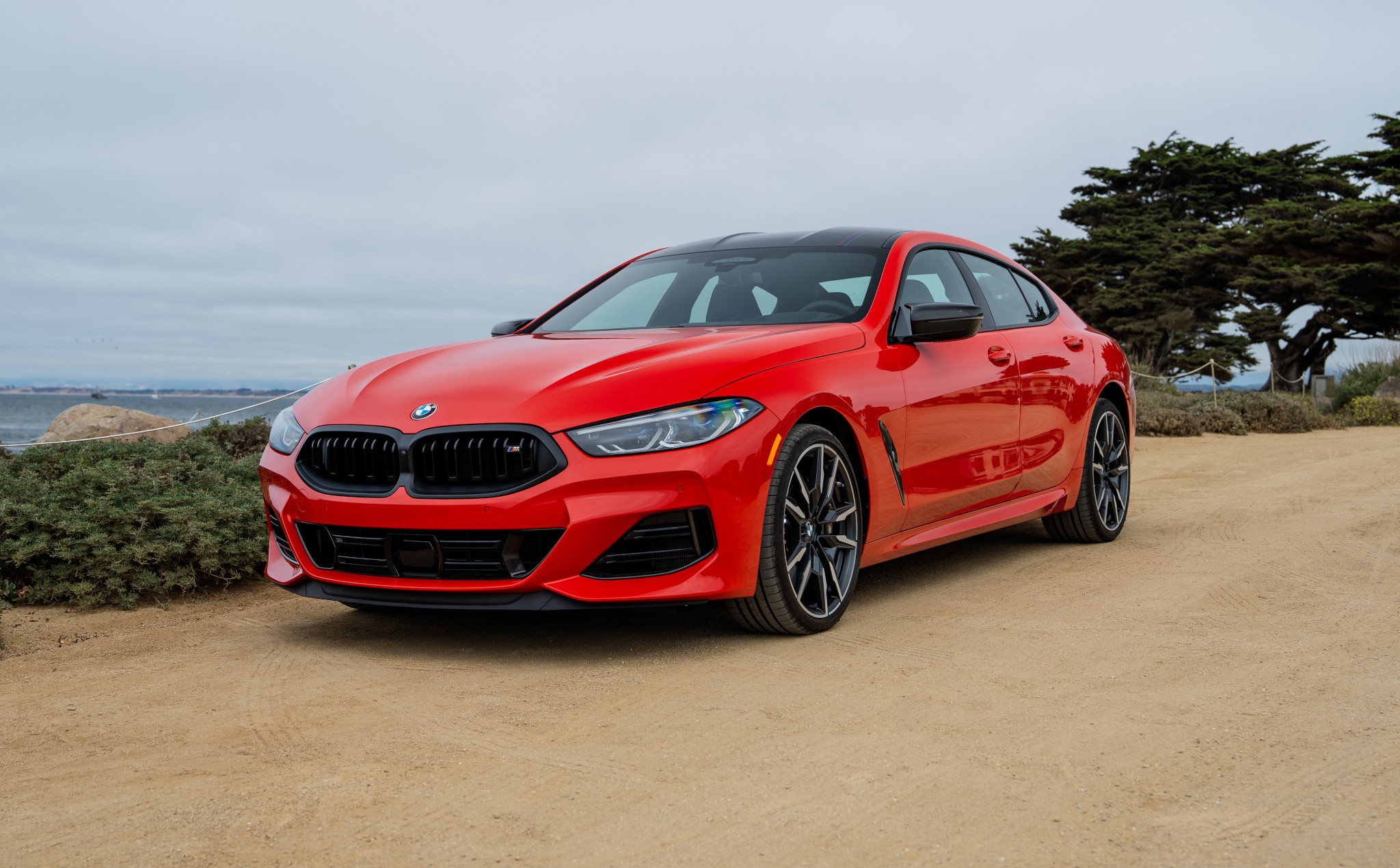 BMW M850i Edition M Heritage: prestazioni e stile in una serie limitata unica