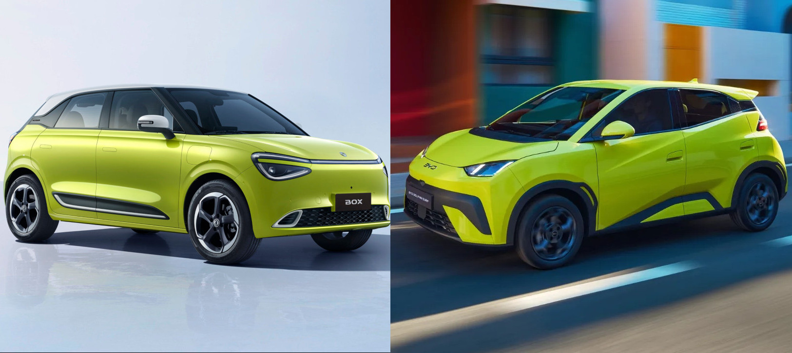 Dongfeng Box vs BYD Dolphin Surf, confronto tra city car elettriche cinesi: versioni e prezzi