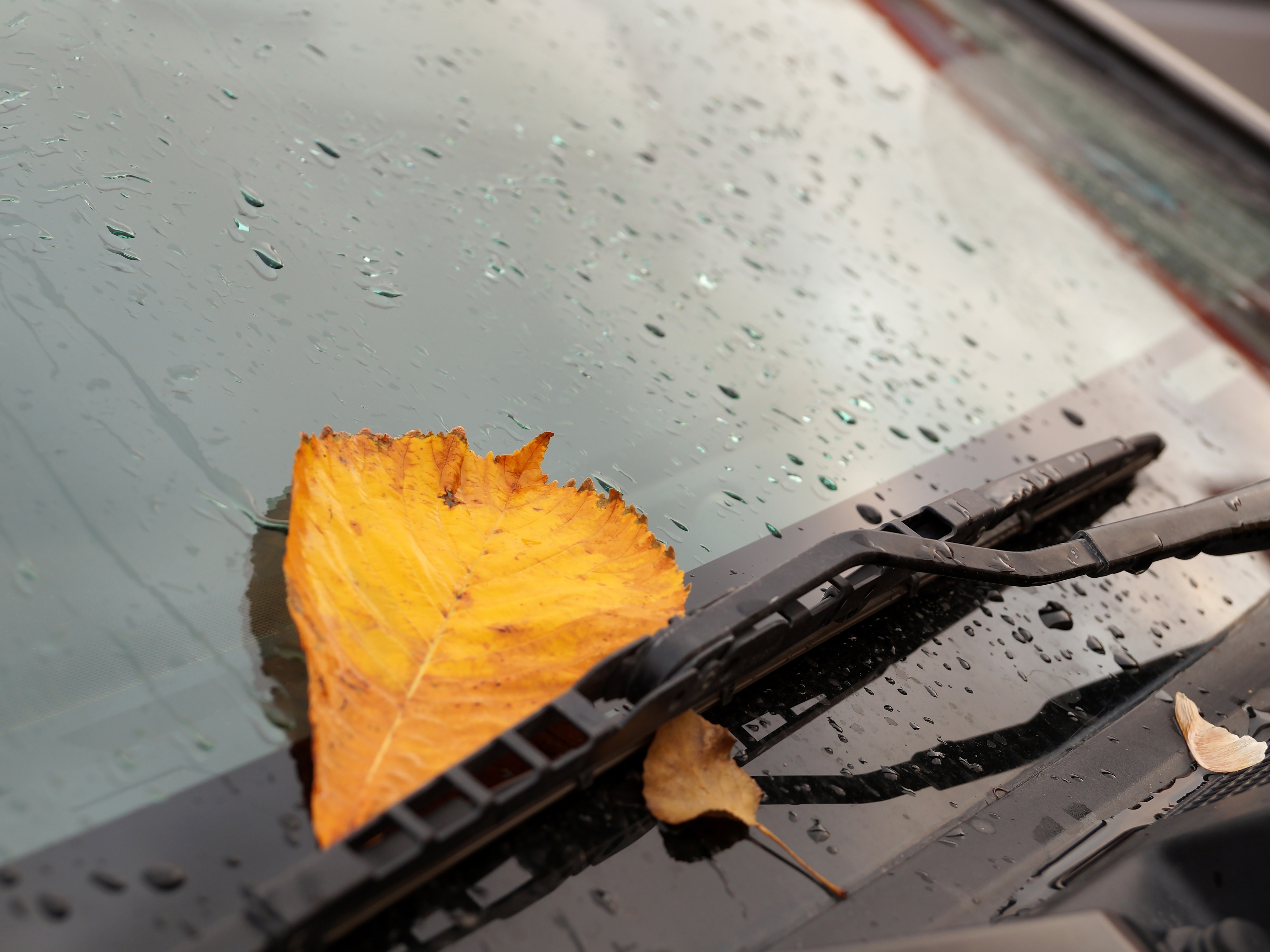 Da quanto non cambi le spazzole tergicristallo della tua auto? Questo è il momento migliore per farlo
