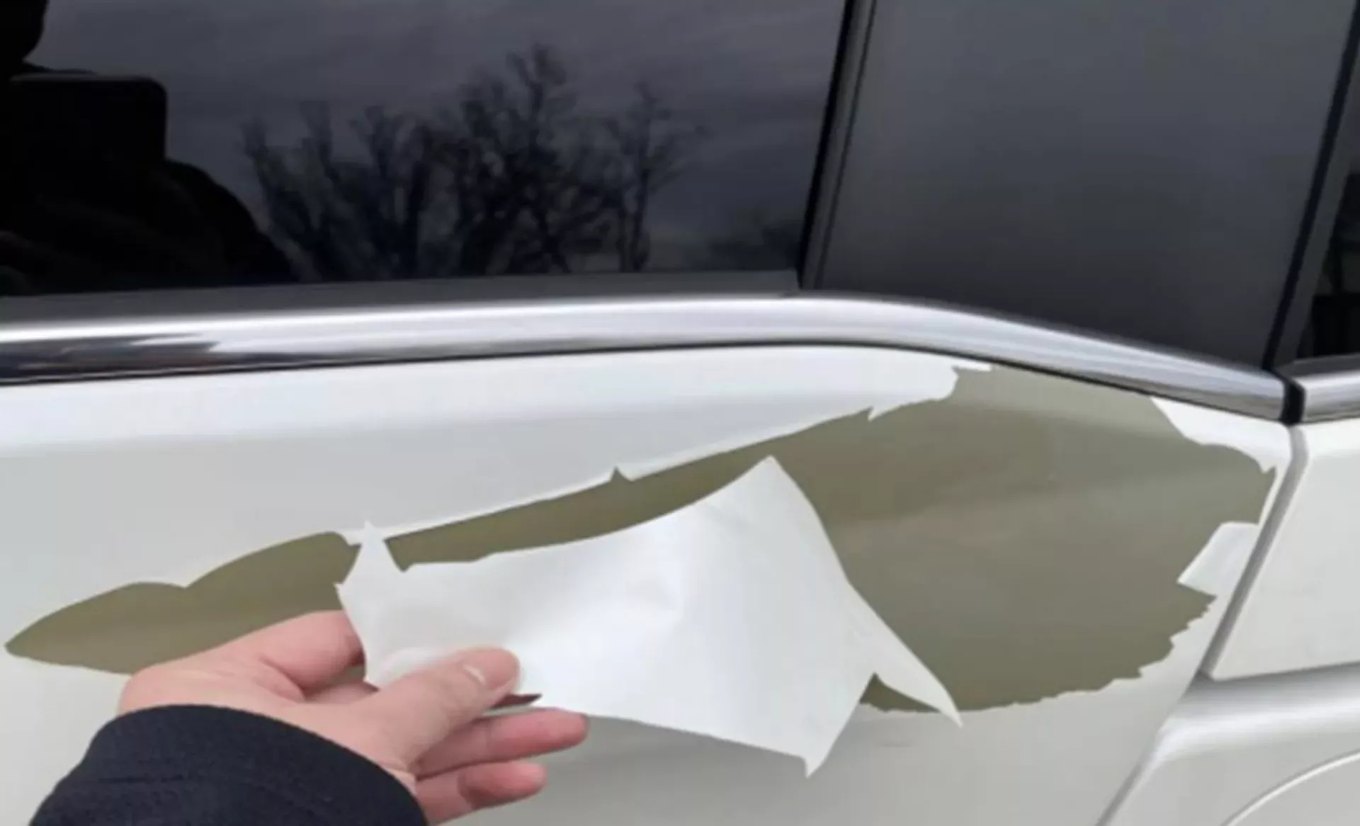 Vernice bianca auto Honda-1