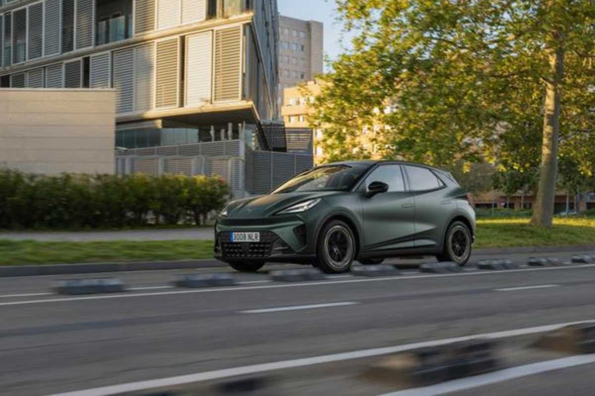 I vari allestimenti della Cupra